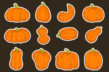 Vector set bright orange pumpkins different form in cartoon flat style. Collection design various element for banner, icon, sticker. Cute simple concept art. Health food or farm plant illustration.