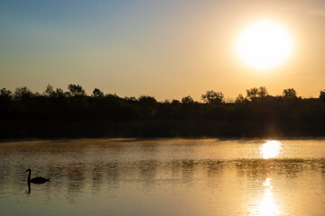 Landscape with a sunrise on the river