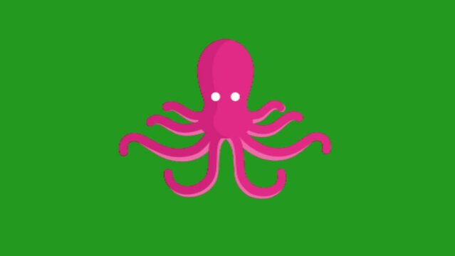 Cartoon octopus animation, green screen background.