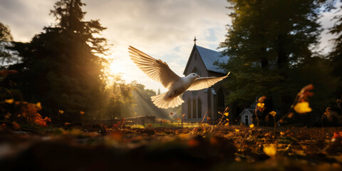 Dove flying over the church in the autumn countryside at sunset - obrazy, fototapety, plakaty