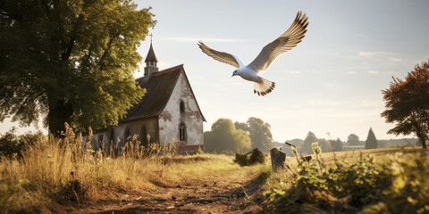Dove flying over an old little church in the countryside. - obrazy, fototapety, plakaty