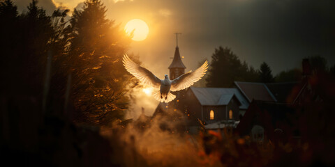 Dove flying over the village at sunset. Selective focus