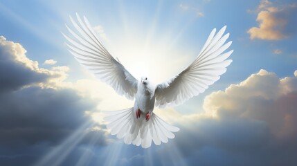 White dove flying in the sky among the clouds, symbol of peace. Pigeon background