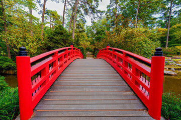 bridge in the park