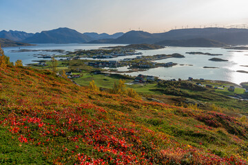 panoramic view over the autumnal colored nature from the island of Kvaløya, Norway, with many wind...