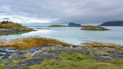 panoramic view over the autumnal colored nature from the island of Kvaløya, Norway, with many wind turbines. red and orange colored plants between green and yellow grass over atlantic ocean