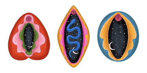 abstract image of a vagina. outer space, planets, moon and stars. snake tempter and plant herbs. printing on fabric and paper. radical feminism. vector © chikovnaya