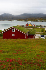 Fototapeta na wymiar red house by the ocean on white sandy beach, colorful houses on the shore of the North Atlantic. wooden holiday home on the islands of Hillesøy and Sommarøy. Holidays in Troms, Northern Norway.