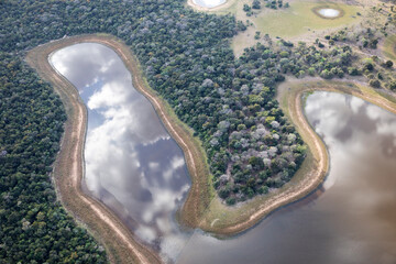 Aerial view to Pantanal jungle in Brasil.