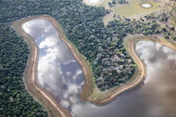 Fotobehang Aerial view to Pantanal jungle in Brasil. © Ondrej