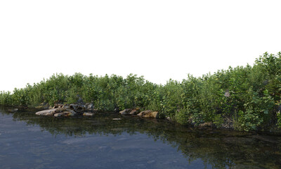 Fototapeta na wymiar Many plants and trees Lakeside on transparent background