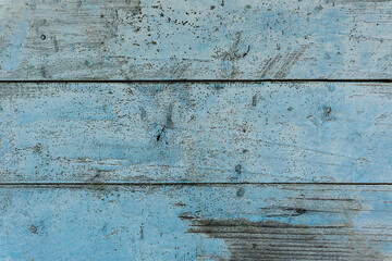 Wood texture background coming from natural tree. Copy space. Design