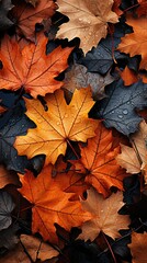 Naklejka na ściany i meble Autumn leaves, golden, colorful, brown, background, wallpaper. Generative AI