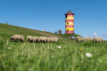 Pilsum lighthouse in East Frisia, Germany - obrazy, fototapety, plakaty
