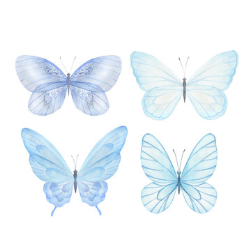 Watercolor butterfly set. Hand drawn isolated  illustration on white background