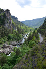 Fototapeta na wymiar view over Tarn River Gorge in the Cevennes of France