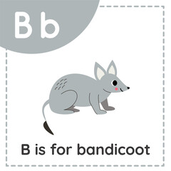 Learning English alphabet for kids. Letter B. Cute cartoon bandicoot.
