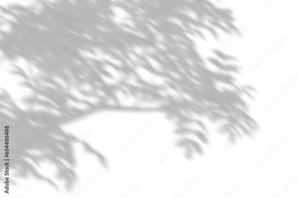 Poster shadow shade tree branches move isolate transparent backgrounds 3d rendering png