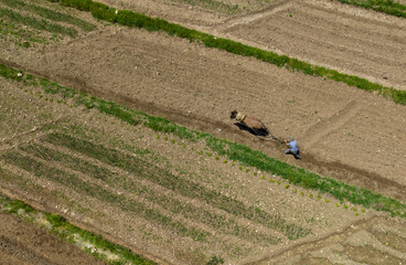 Savur district of Mardin province, where organic farming is done with horses