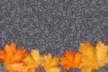Gray stone texture with orange maple leaves. background design.