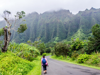 Koolau Mountain Range on the Hawaiian island of Oahu - 654410002