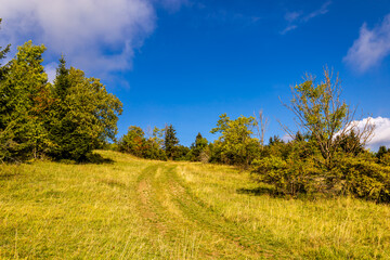Naklejka premium Schöne Wanderung durch Südthüringen rund um die Hohe Geba bei Meiningen - Thüringen - Deutschland