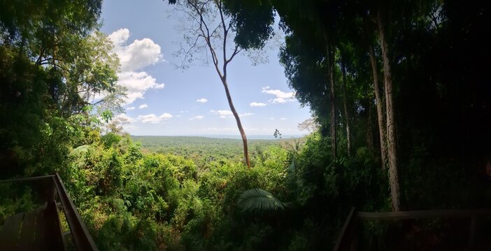 Floresta Nacional do Tapaj&oacute;s, localizada na Comunidade de Jamaraqu&aacute;, Par&aacute;, Brasil. Setembro de 2023