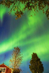Lappland – Polarlichter – Aurora