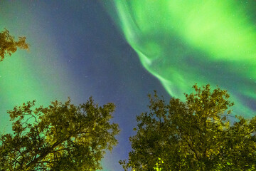Lappland – Polarlichter – Aurora