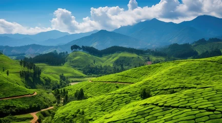 Fotobehang landscape in the mountains Tea plantations in Munnar, Kerala, India tourism photography generative ai  © RamvijayB