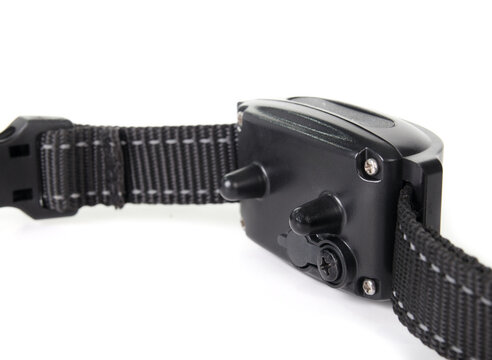 Dog bark collar with peep and vibrating modus. Backside. Smart training collar for dogs all sizes. Device used to reduce or stop excessive barking. Selective focus. Isolated on white.