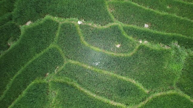 Vietnam vu du ciel