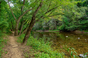 Trail along the creek