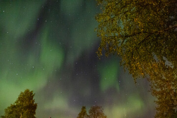 Aurora – Nordlichter – Lappland 