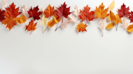 Naklejka na ściany i meble Autumn leaves on a white background.