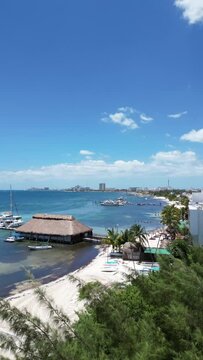 Canc&uacute;n, playa  Las perlas  en formato vertical , vista desde una palmera hasta el mar caribe  