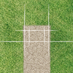 A direct top view of the layout of a cricket pitch. A direct top view of the layout of a cricket pitch. 3D Rendering - obrazy, fototapety, plakaty