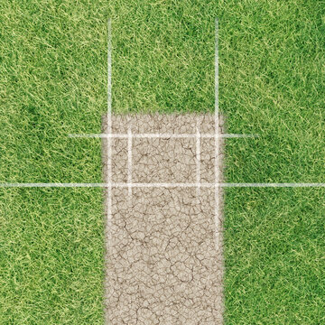 A direct top view of the layout of a cricket pitch. A direct top view of the layout of a cricket pitch. 3D Rendering