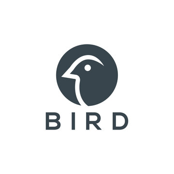 Bird logo template with line art style. Creative abstract bird logo collection.