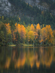Autumn Colors By The Lake - 654447820