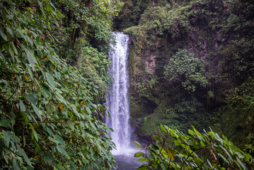The waterfalls of La Paz in the jungle of Costa Rica, - obrazy, fototapety, plakaty