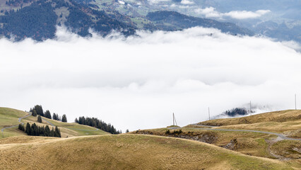 mountain landscape with fog
