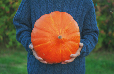 Man in blue sweater holding big orange pumpkin
