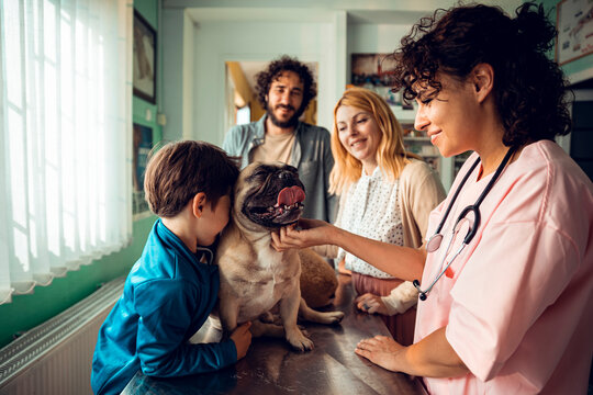 Young family consulting a veterinarian about their dog at the veterinary clinic