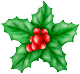 Christmas holly with green leaves and red berry