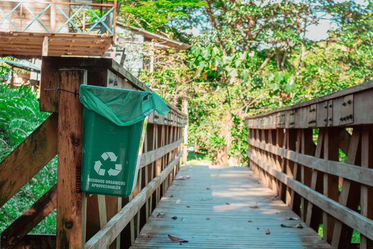 Bote de basura en sendero de madera rodeado de arboles