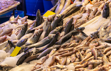 Turkey - Large amount of fresh seafood at İzmir Kemeraltı fish market