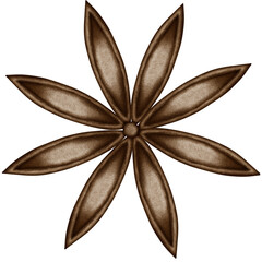 Eight-pointed style brown anise illustration