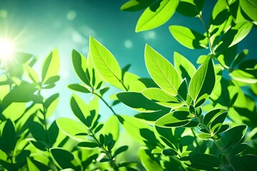 Closeup of fresh green leaves of sage on blurred background against sunlight in nature