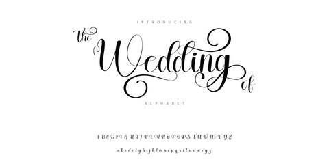 a wedding invitation alphabet font typeface logotype. vector eps abc editable - obrazy, fototapety, plakaty